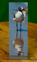 By The Sea - Bookmark