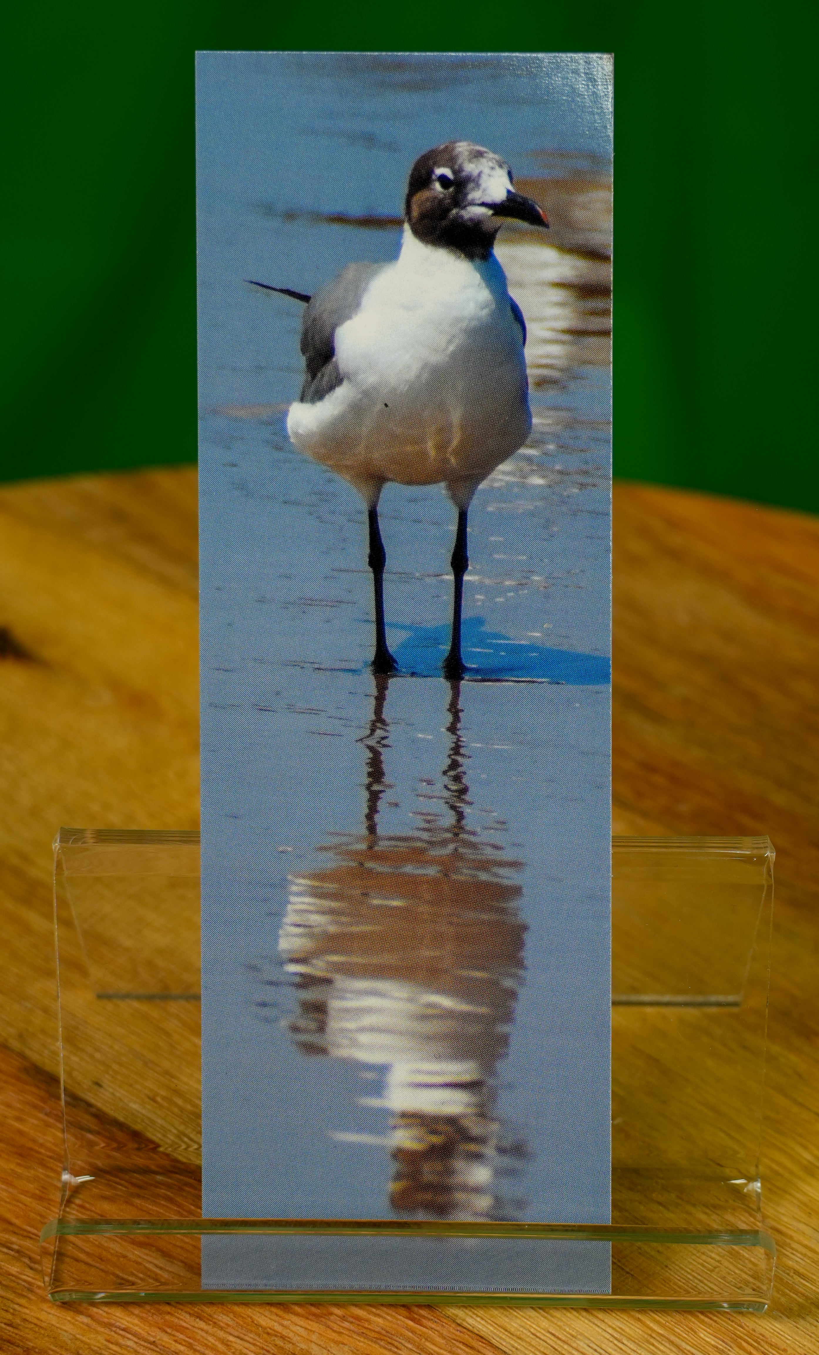 By The Sea - Bookmark